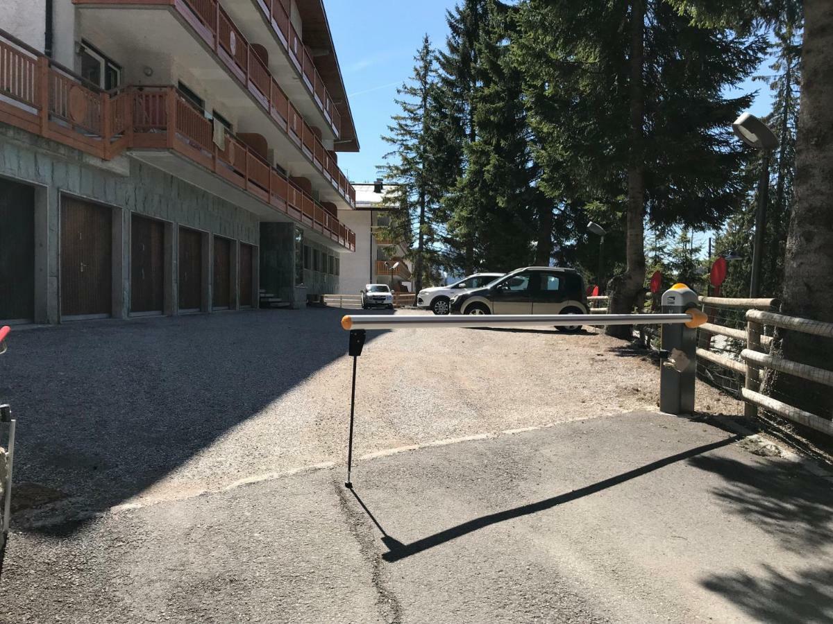 Casa Margherita Apartment Madonna di Campiglio Ngoại thất bức ảnh